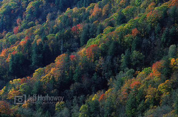 Smoky Mountains NP, Tennessee