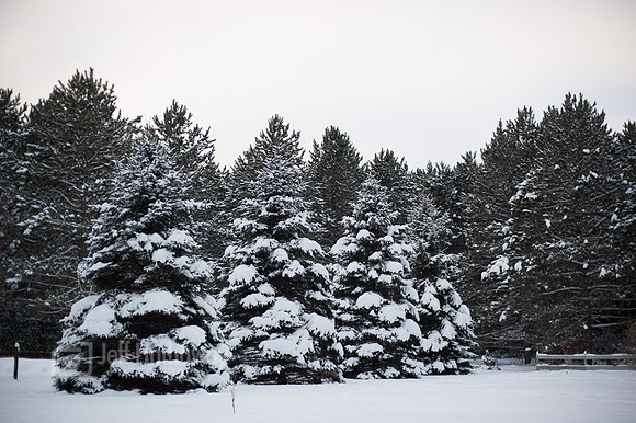 Minnesota